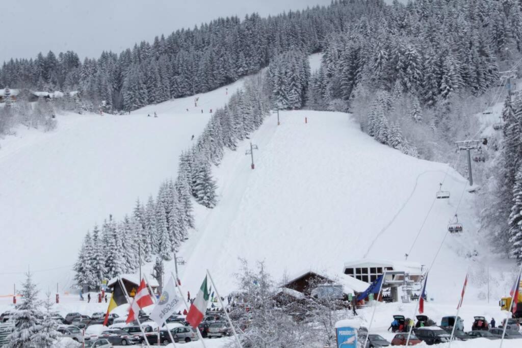 Bel App Aux Gets 10Mn Centre Ski Parking Tennis Prive Les Gets Exterior foto