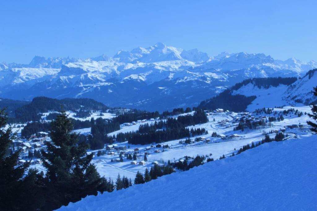 Bel App Aux Gets 10Mn Centre Ski Parking Tennis Prive Les Gets Exterior foto